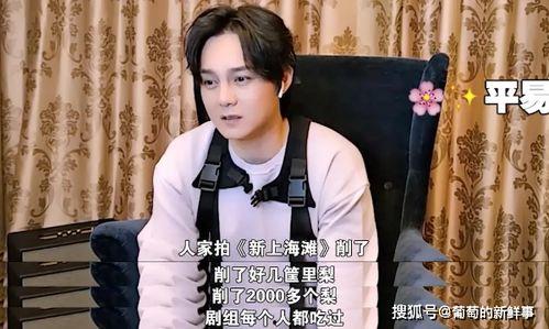 两个梨的谐音明星,明星荟萃——探寻梨与明星的奇妙缘分”