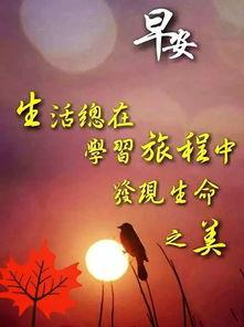 网红宣传短语句子,网红效应下的流行语盛宴