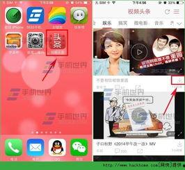 头条的视频有哪些类型,五大类型深度解析