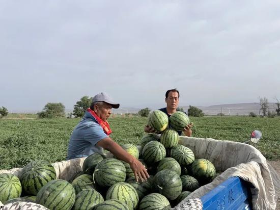 魏县吃瓜中心在哪里,揭秘瓜乡美食聚集地