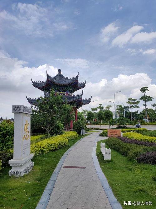 网红埔,揭秘网红聚集地的魅力与商机