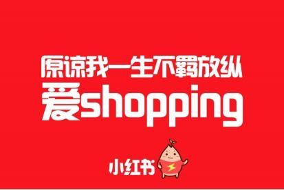 小红书网红怎么卖货的,揭秘网红卖货的秘诀与技巧