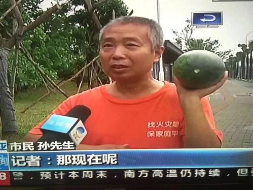 吃瓜热点事件真人,揭秘吃瓜群众背后的真实故事