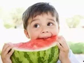 专注吃瓜30余年