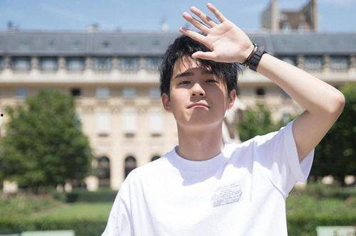 95后明星,青春活力与才华并重