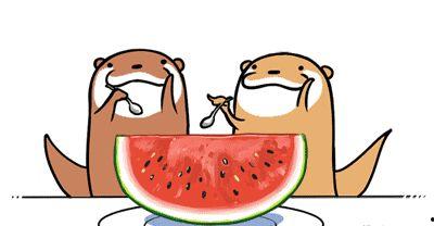 夏日吃瓜爽歪歪,吃瓜爽歪歪，清凉一夏！