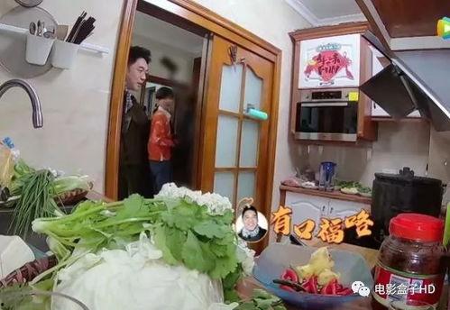 全家搬凳子吃瓜真人,演绎真人生百态