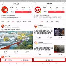头条小程序中奖难度,中奖难度几何，挑战你的运气与智慧！”