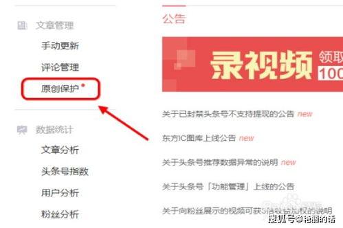 头条号文章标签怎么加,轻松掌握副标题撰写技巧n2. 头条号文章标签攻略：打造吸引眼球的副标题n3. 如何利用头条号文章标签：打造高点击率副标题秘籍n4. 头条号文章标签应用：副标题撰写指南，提升阅读量n5. 副标题撰写技巧：基于头条号文章标签的实战攻略
